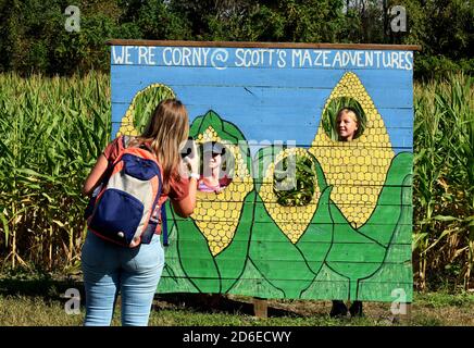 Mt. Dora, Stati Uniti. 15 Ott 2020. 15 ottobre 2020 - Mt. Dora, Florida, Stati Uniti - i bambini posano per una foto al labirinto di mais autunnale annuale a Long e Scott Farms in questa vista aerea da un drone il 15 ottobre 2020 a Mt. Dora, Florida. Il tema di questo labirinto di yearÕs 6 acri, che è aperto con la distanza sociale durante la pandemia del coronavirus, è 'Farm to Table'. Credit: Paul Hennessy/Alamy Live News Foto Stock