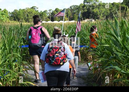 Mt. Dora, Stati Uniti. 15 Ott 2020. 15 ottobre 2020 - Mt. Dora, Florida, Stati Uniti - la gente naviga il labirinto annuale di mais autunnale a Long e Scott Farms il 15 ottobre 2020 a Mt. Dora, Florida. Il tema di questo labirinto di yearÕs 6 acri, che è aperto con la distanza sociale durante la pandemia del coronavirus, è 'Farm to Table'. Credit: Paul Hennessy/Alamy Live News Foto Stock