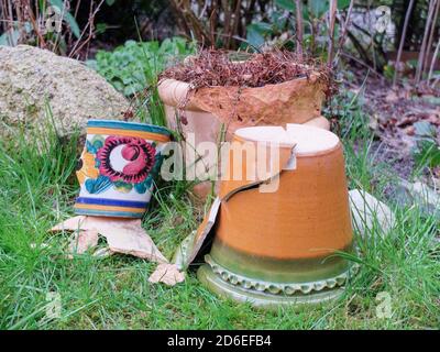 Danni da gelo alle pentole di terracotta dopo l'inverno Foto Stock