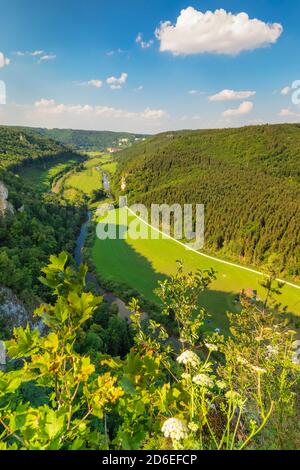 Vista dal Knopfmacherfelsen nella valle del Danubio al Monastero di Beuron, al Parco Naturale Obere Donau, all'Alb Svevo, Baden-Württemberg, Germania Foto Stock