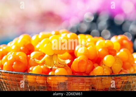 Bacche nuvolosi dorate e appena selezionate (Rubus chamaemorus) come delicatezza settentrionale in una piccola ciotola di vetro durante una giornata estiva in Estonia. Foto Stock