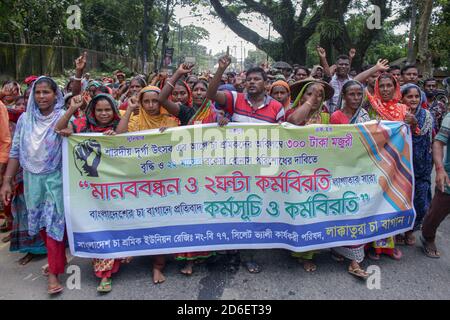 L’Unione dei lavoratori del tè del Bangladesh ha organizzato proteste, catene umane, manifestazioni e uno sciopero di due ore ogni giorno dall’inizio di ottobre, chiedendo un aumento dei salari e il pagamento di arretrati di bonus prima della prossima Durga Puja. I lavoratori del giardino da tè Lakkatura (fondato nel 1875) guadagnano solo 102 BDT (1.20 USD) al giorno. Bangladesh. Foto Stock