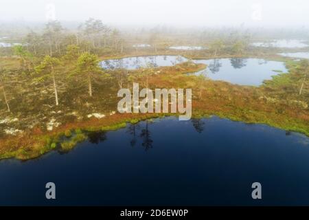 Parco Nazionale di Soomaa. Vista aerea dei laghi di palude a Kuresoo Bog durante l'alba foggy in estate nella natura estone, Europa del Nord. Foto Stock