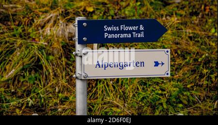 Segui le indicazioni per Alp Garden a Schynige Platte - CONTEA DI BERNA. SVIZZERA - 9 OTTOBRE 2020 Foto Stock