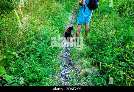 uomo con un gatto nero su un guinzaglio che cammina tra la lussureggiante vegetazione montana lungo il sentiero Foto Stock