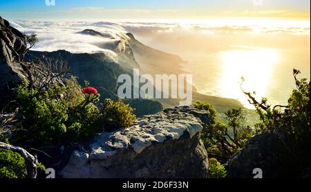 Table montagna coperta di coperta nuvola al tramonto, Città del Capo, Sud Africa Foto Stock