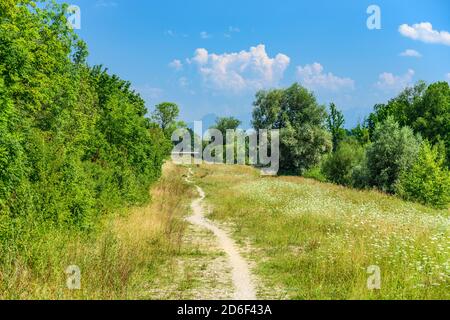 Germania, Baviera, alta Baviera, distretto di Rosenheim, Markt Bruckmühl, Mangfalltal, percorso lungo il fiume Foto Stock