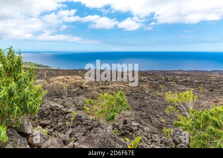 Grand Brûlé paesaggio lavico con nuova vegetazione sul Piton de la Fournaise, uno dei vulcani più attivi della terra, Saint-Philippe, la Réunion, territorio francese d'oltremare, Francia, Africa, Oceano Indiano Foto Stock