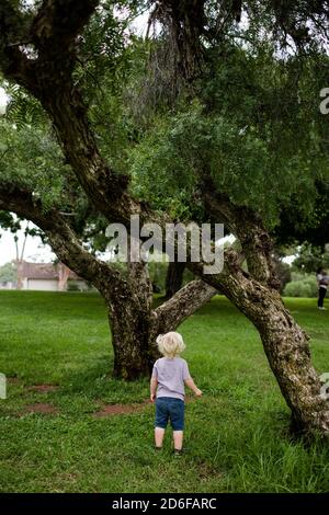 Due anni guardando su albero Foto Stock