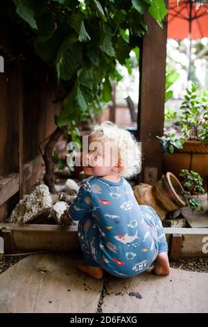 Due anni di età guardando su spalla mentre si accovacciano sotto Grapevine Foto Stock