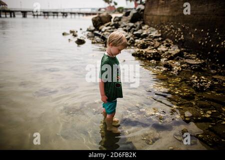 Ragazzo di sei anni guardando le rocce in piedi a Coronado Baia Foto Stock