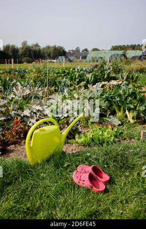 Kamp-Lintfort, Nord Reno-Westfalia, Germania - Oekolandbau NRW, scarpe da giardino e annaffiatoio sono nel giardino di verdure, Ackerhelden Bio Mietgaerten, i giardini in affitto sulla fattoria Bioland sono professionalmente prepiantati con piante giovani biologiche. Foto Stock