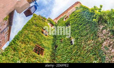 Passeggiate nelle pittoresche strade di Saint-Paul-de-Vence, Costa Azzurra, Francia. È una delle più antiche città medievali della Costa Azzurra Foto Stock