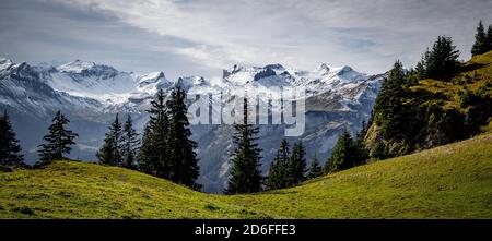 Splendida vista panoramica sulle Alpi svizzere - vista da Schynige Platte montagna Foto Stock