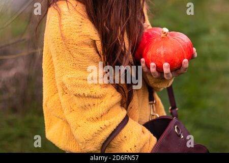 A Autumn Farm Market ragazza che piange zucche prima di Halloween. Foto Stock
