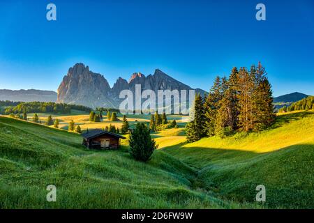 Campagna agricola collinare con pascoli verdi, alberi e capanne in legno a Seiser Alm, Alpe di Siusi, la montagna Plattkofel, Sasso piatto, nel Foto Stock