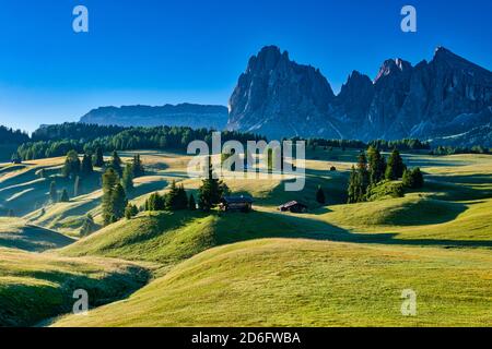 Campagna agricola collinare con pascoli verdi, alberi e capanne in legno a Seiser Alm, Alpe di Siusi, la montagna Plattkofel, Sasso piatto, nel Foto Stock