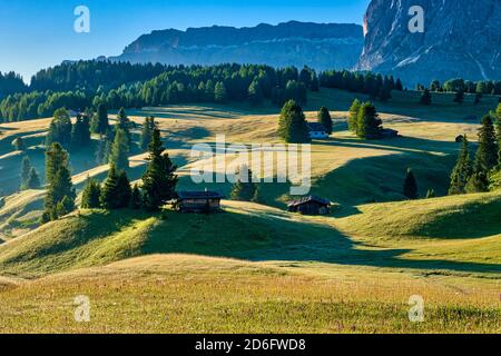 Campagna agricola collinare con pascoli verdi, alberi e capanne in legno all'Alpe di Siusi, all'alba. Foto Stock
