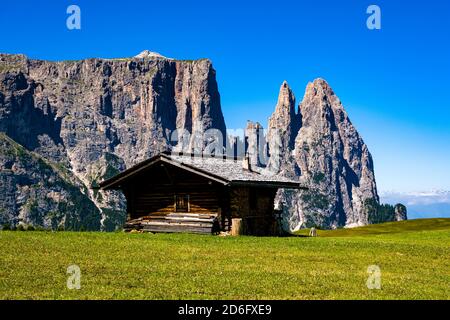 Campagna agricola collinare con pascoli verdi e una casa in legno a Seiser Alm, Alpe di Siusi, la montagna Schlern, Sciliar, in lontananza. Foto Stock