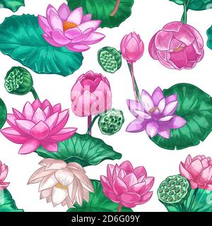 Motivo senza giunture lotus rosa. Fiori di giglio d'acqua delicati, loto rosa. Design tropicale decorativo per prodotti ayurveda cura tessitura vettoriale Illustrazione Vettoriale