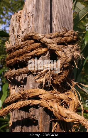 Vecchia corda fatta a mano avvolta palo di legno rotondo Foto Stock