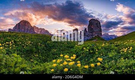 Vista panoramica sulla formazione rocciosa delle cinque Torri, cinque Torri di Averau, circondata da fiori gialli in fiore, all'alba. Foto Stock