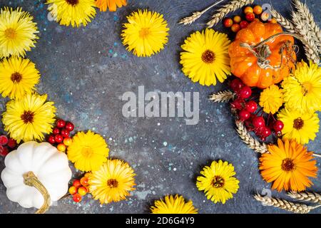 Composizione autunno piatto posare. Decorazioni natalizie in autunno con zucche, bacche, fiori gialli e grano su sfondo blu. Giorno di ringraziamento, Halloween co Foto Stock