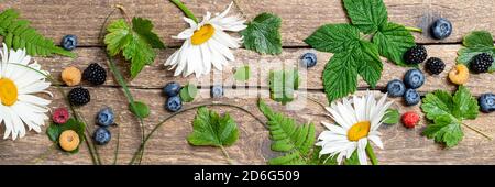 Foresta bacche modello su rustico sfondo di legno. Striscione fatto di frutti di bosco e fiori di camomilla. Concetto estivo. Disposizione piatta Foto Stock