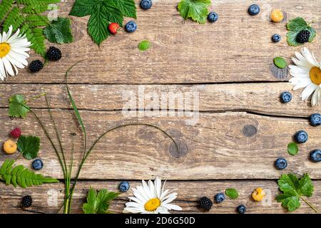 Foresta bacche modello su rustico sfondo di legno. Cornice fatta di frutti di bosco e fiori di camomilla. Concetto estivo. Disposizione piatta, spazio di copia Foto Stock
