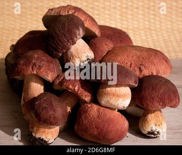 Un mucchio di nobili funghi boschivi boletus e berretto rosso il boletus che giace su una tavola di legno Foto Stock