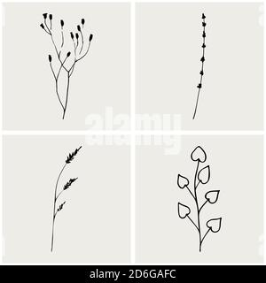 Raccolta di erbe. Schizzo floreale. Collezione di erbe e piante cosmetiche disegnate a mano da Vector. Illustrazione semplice ed elegante disegnata a mano. Illustrazione vettoriale Illustrazione Vettoriale
