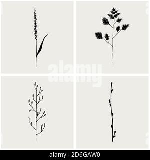 Schizzo floreale. Collezione di erbe e piante cosmetiche disegnate a mano da Vector. . Illustrazione vettoriale Illustrazione Vettoriale