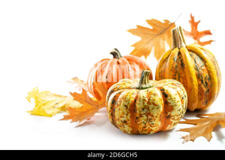 Pumpkins o squash di cibo e foglie di autunno colorate, biglietto di auguri per Halloween o il Ringraziamento su uno sfondo bianco con spazio di copia, fuoco selezionato Foto Stock