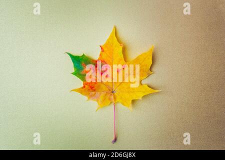 Foglia d'autunno su sfondo dorato. Disposizione piatta, vista dall'alto, spazio per la copia Foto Stock