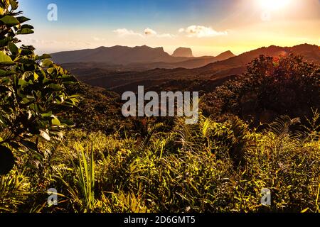 Foresta pluviale e natura lussureggiante sull'isola di Mauritius bagliore alla luce del sole serale Foto Stock