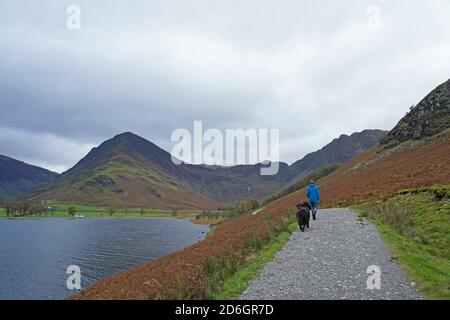 Uomo e due cani di montagna bernesi che camminano sul sentiero vicino al lago Foto Stock