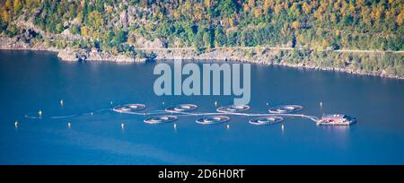 Salmon Fish Farm nel fiordo vicino a Montains - Nord Sea Bergen / Stavanger Norvegia Foto Stock