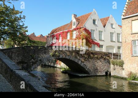 La foto dal centro della città di Bruges, città storica e turistica di Belguim. Le case tradizionali con maneggio terrazzato. Foto Stock