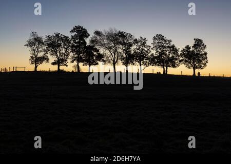 Dawn, prima dell'alba, caduta tardiva, Indiana, USA, di James D Coppinger/Dembinsky Photo Assoc Foto Stock