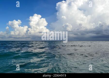 Mar dei Caraibi visto dalle bianche spiagge coralline del Messico nello Yucatan. Foto Stock