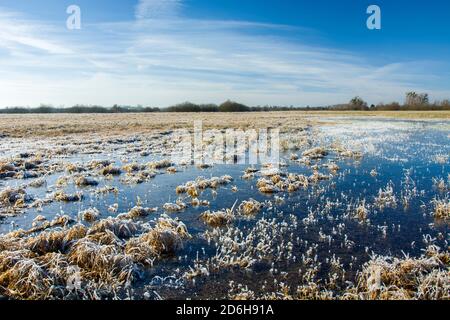 Acqua ghiacciata e gelo sul prato, orizzonte e cielo blu Foto Stock