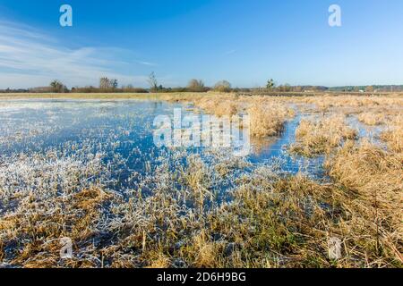 Acqua congelata e gelo su prato asciutto, orizzonte e cielo blu Foto Stock
