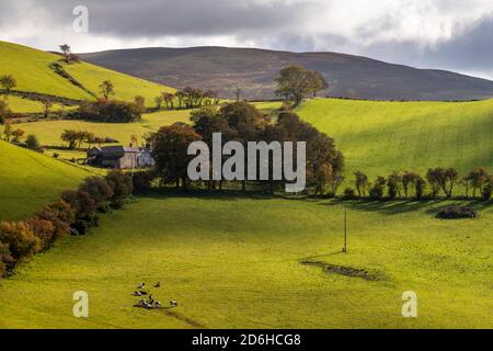 Fattoria e campi nel Clwyduian Range, Galles del Nord Foto Stock