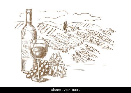 Illustrazione vettoriale dello schizzo del paesaggio di vigneto. Bottiglia di vino rosso, bicchieri, vite d'uva, elementi disegnati a mano per la progettazione di etichette. Illustrazione Vettoriale