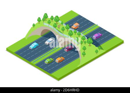 Autostrada e ponte verde per gli animali sopra la strada. Illustrazione vettoriale isometrica 3D. Salvare il concetto di ambiente ed ecologia. Strada moderna giu Illustrazione Vettoriale