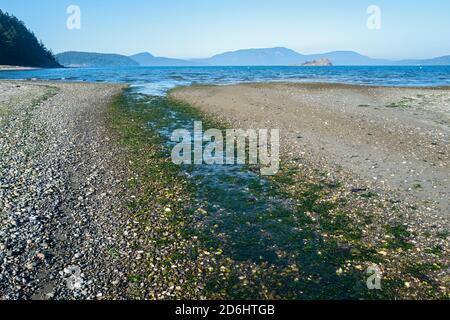 Un canale d'acqua attraversa il litorale nello Spencer Spit state Park sull'isola di Lopez, Washington, USA Foto Stock