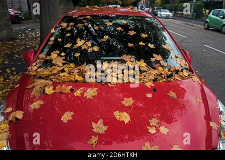 Auto parcheggiata con foglie autunnali sul parabrezza e sul cofano o sul cofano. Foto Stock