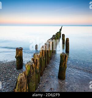 Vecchio groyne sulla spiaggia del Mar Baltico all'alba, vicino Graal-Mueritz, Meclemburgo-Vorpommern, Germania Foto Stock