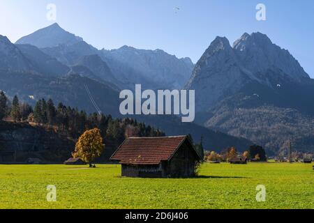 Fienile, prato verde, Zugspitze sullo sfondo, paesaggio montano, vicino Grainau, Garmisch-Partenkirchen, alta Baviera, Baviera, Germania Foto Stock