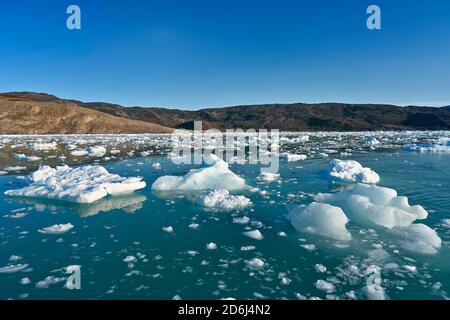 Ghiacciaio Eqi con ghiaccio in primo piano, Baia di Disko, Groenlandia occidentale, Groenlandia Foto Stock